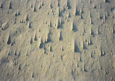 sand23