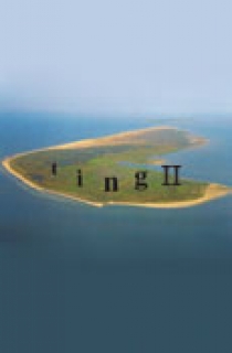 ting II