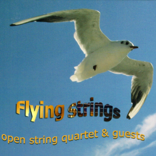 open string quartet