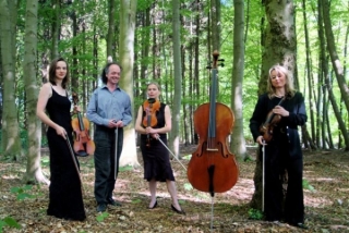 open string quartet